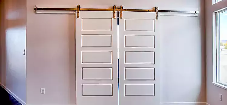 Glass Barn Door with Installation Hardware Kit Cinco Ranch